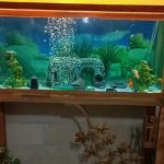 آکواریوم با پایه فرفوژه