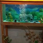 آکواریوم با پایه فرفوژه