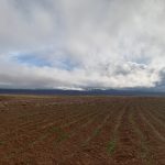 زمین کشاورزی