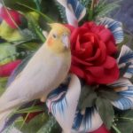 فروش مرغ عشق آبی نر