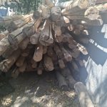 فروش چوب سقفی