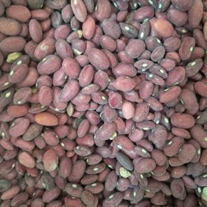 لوبیا قرمز